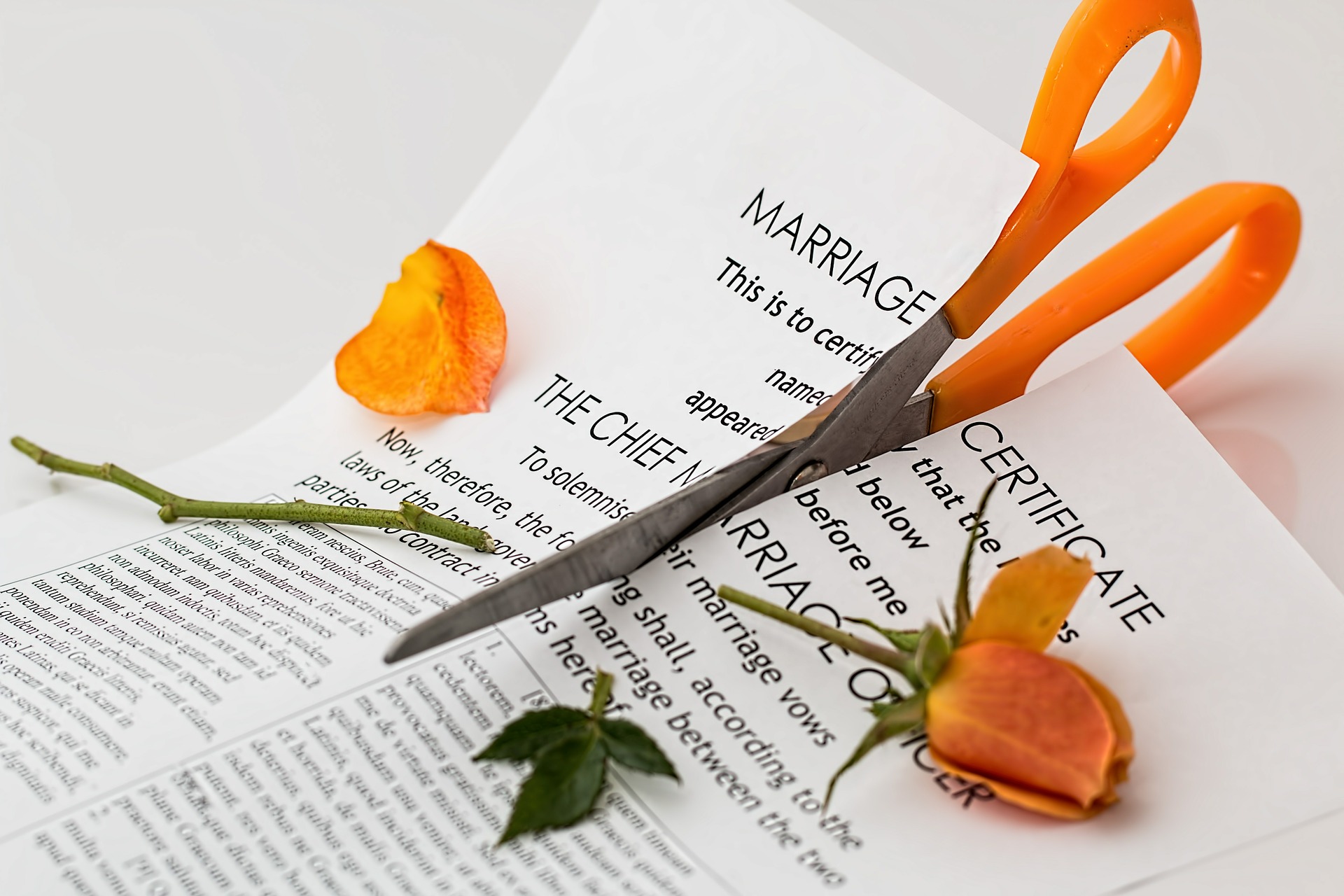 Divorce, Child Support & Timesharing